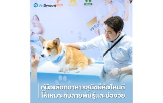 VetSynova อาหารสุนัขยี่ห้อไหนดี