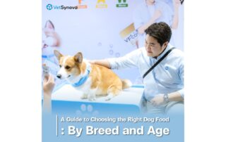 Vetsynova blog dog food guide