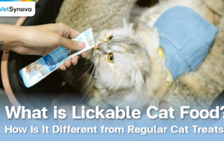 Vetsynova Article what is lickable cat food