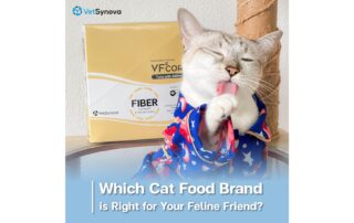 Vetsynova Which cat food brand is right for your feline friend