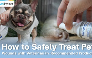 Vetsynova Blog pet wound treatment