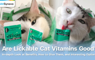 Vetsynova blog is cat lickable vitamin good