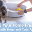 VetSynova Article Eliminates Pet Odor at Home