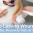 Vetsynova Article dog licking the wound