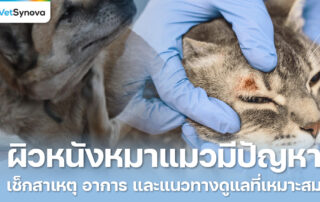 Vetsynova บทความ โรคผิวหนังในสัตว์เลี้ยง